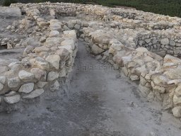 Yacimiento de la Almoloya 2023